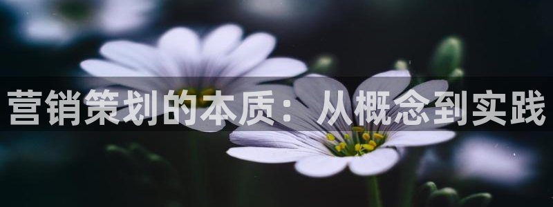 必赢下载官方