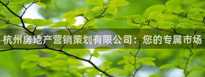必赢国际a600典ccapp