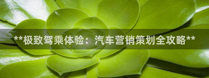 必赢官网app下载苹果手机