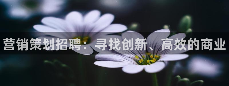 必赢手机app下载 最新版安卓苹果