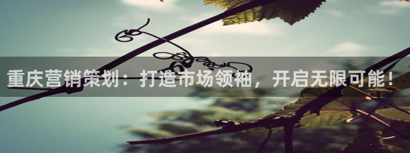 必赢平台电子