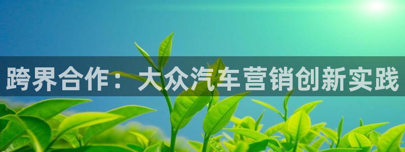 9965必赢游戏特色