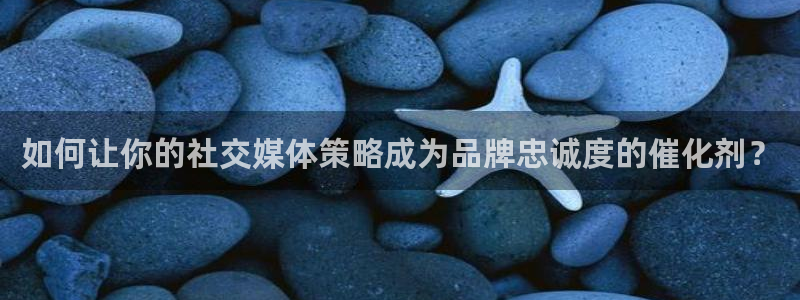 必赢集团网站官网