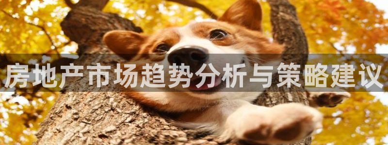 必赢平台怎么样把钱提到银行卡里