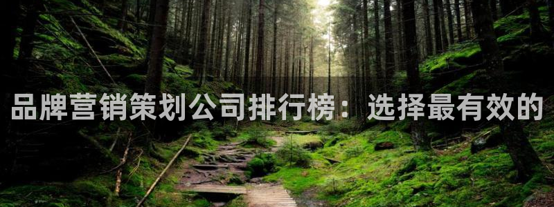 必赢565net官网