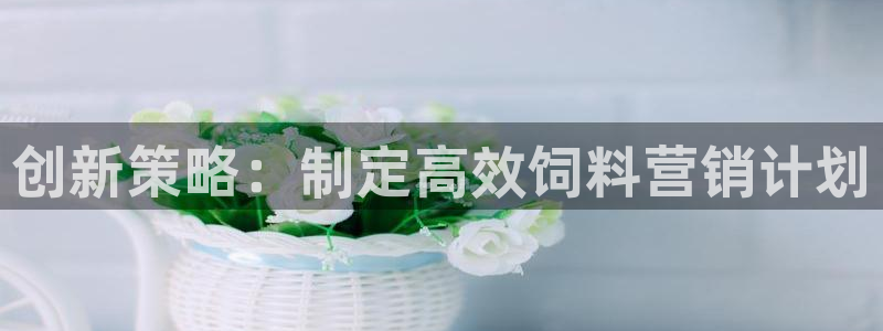 必赢集团菲律宾