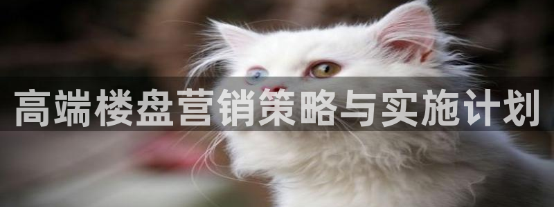 必赢游戏官网
