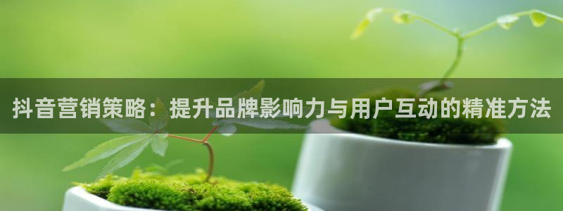 必赢这个软件怎么样