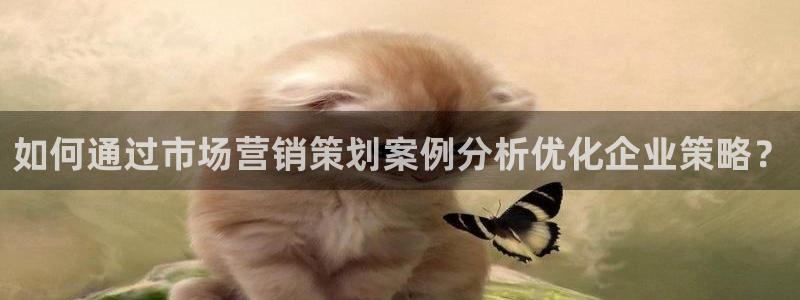 数三十游戏必赢技巧