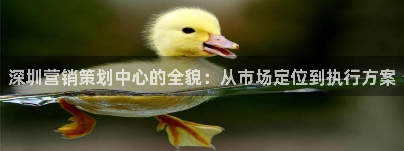 必赢72886是黑网站么