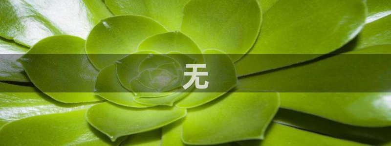 必赢网址手机主页