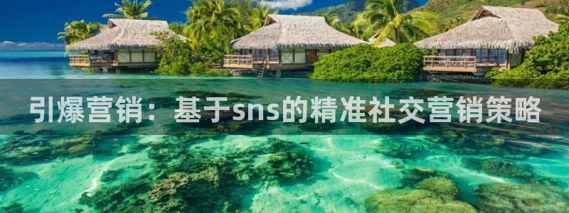 必赢国际技巧