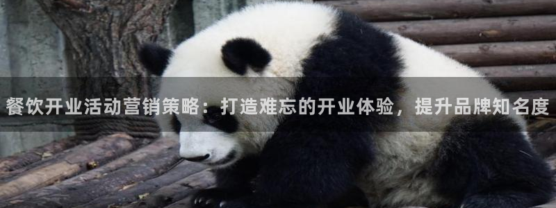 必赢平台怎么样知乎