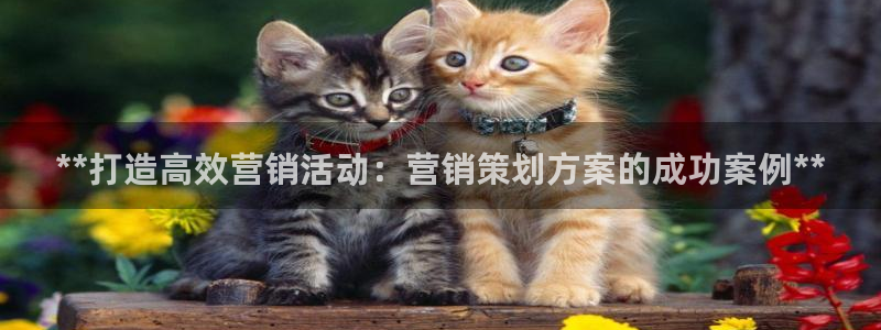 必赢网站是哪一个公司的