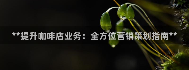 必赢这个平台怎么样