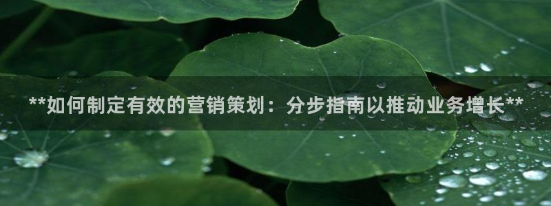 必赢app官方