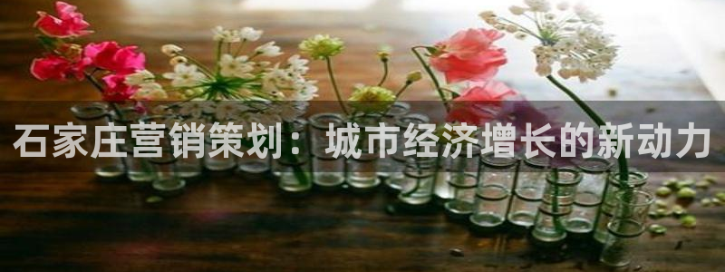 必赢手机app下载抢红包