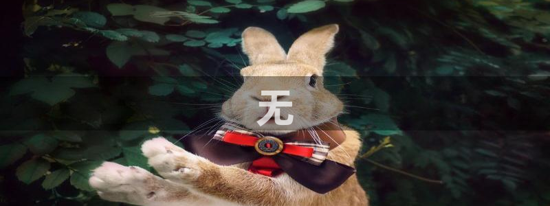 必赢3003+会员账号