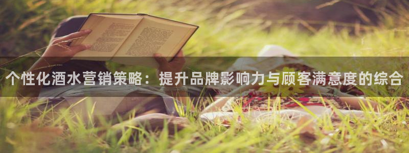 必赢平台怎么样