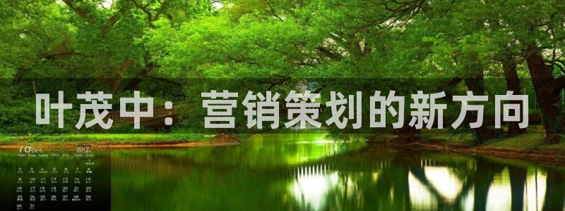 必赢公司是怎样的一家企业