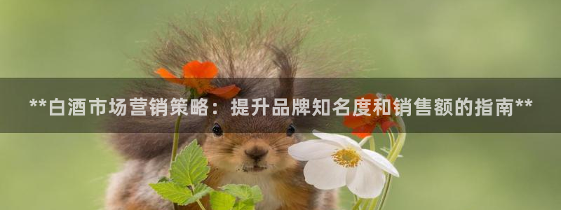 必赢网下载
