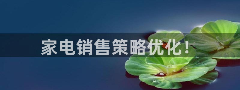 必赢官网app下载