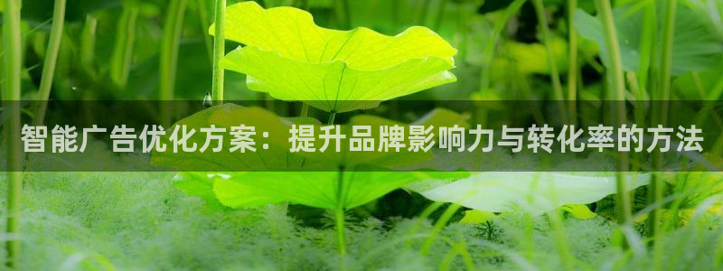 必赢官网下载