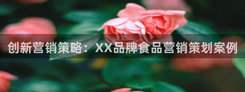 必赢游戏官网