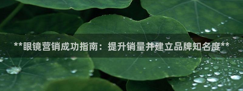 必赢下载苹果手机app