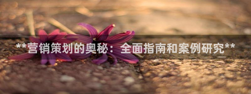 必赢手机app下载最新版本安装
