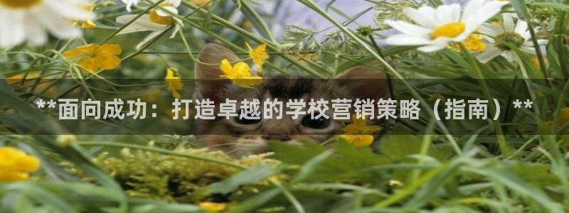 必赢官网入口下载