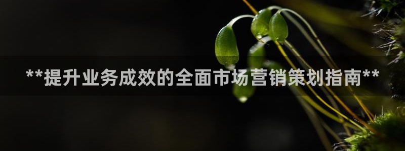 必赢国际的网站多少