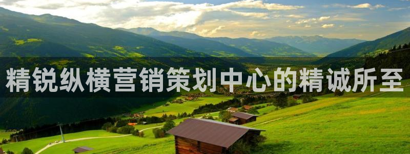 必赢3003网官