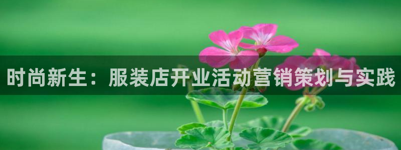必赢这个软件怎么样啊