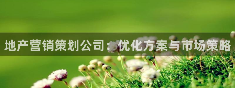 必赢app安卓版下载