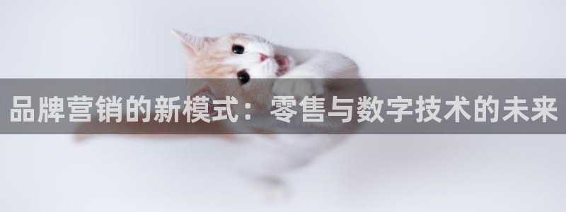 必赢3003必赢贵族宾会