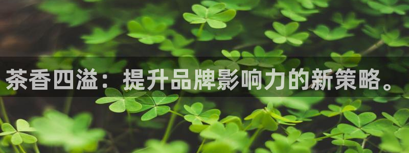 必赢网络游戏平台