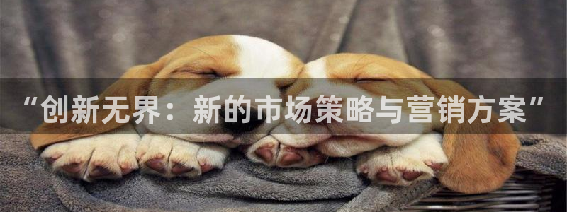 必赢下载ipad