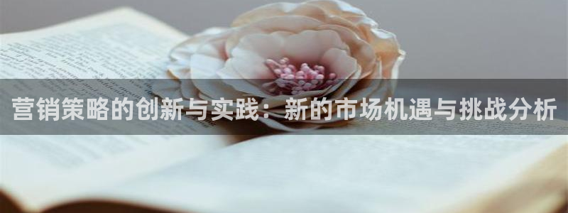 必赢下载ipad