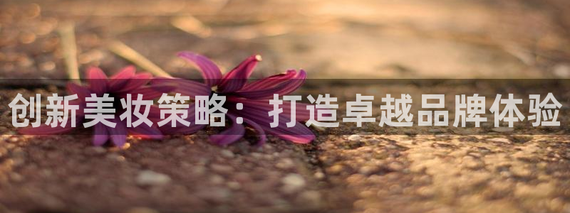 必赢九五