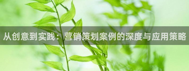 必赢app安卓版下载