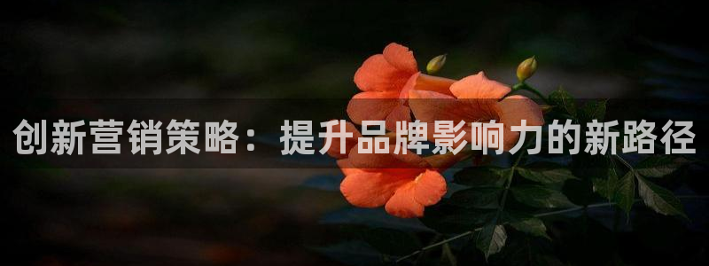 必赢亚赢网站官网下载手机版