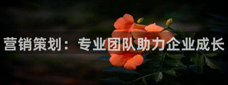 必赢国际437app下载