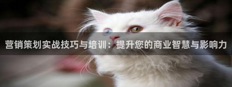 必赢抢红包网址