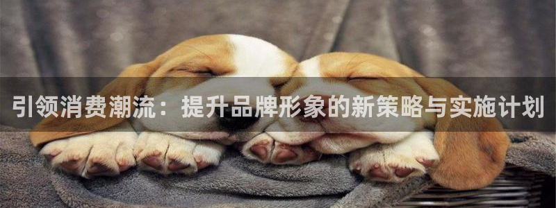 必赢国际a600典ccapp
