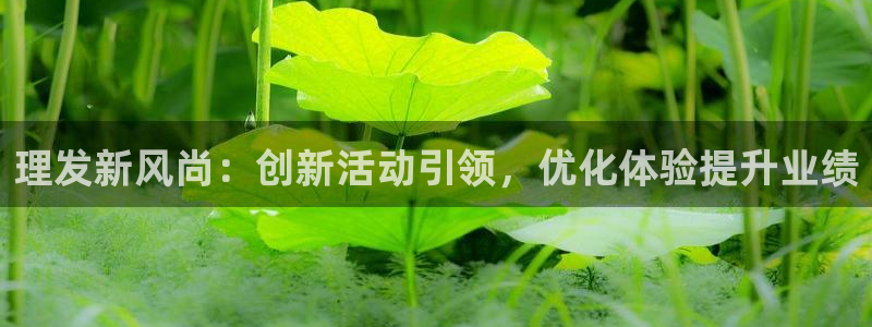 必赢网址谁知道的