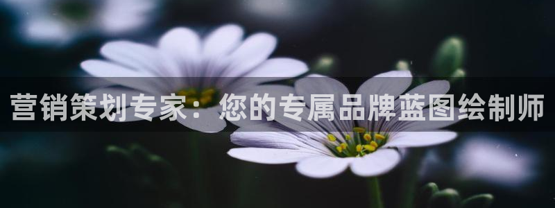 必赢这个软件怎么样知乎