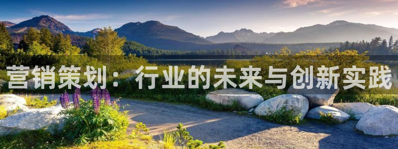 必赢565net官网网站