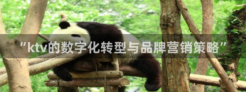 必赢亚赢网站官网下载安装手机版
