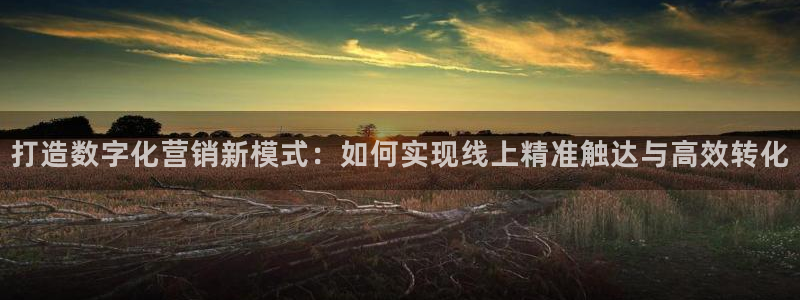 必赢国际是什么